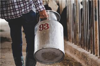 Το πιο βρώμικο μυστικό της γαλακτοβιομηχανίας είναι ακόμα εδώ