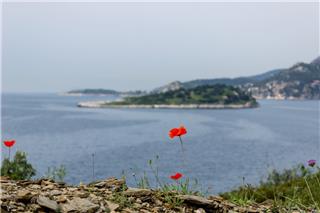 Πού να πας ταξίδι την άνοιξη: 6 ελληνικοί προορισμοί που είναι στα καλύτερά τους τώρα