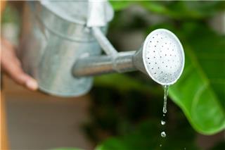 Το απίθανο σύστημα ενός 14χρονου που ποτίζει δέντρα χωρίς νερό