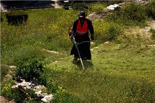 Ακαθάριστα Οικόπεδα: Όλες οι αλλαγές στις νέες δηλώσεις - Πόσο θα σας στοιχίσει ο καθαρισμός