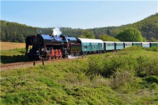 Δέντρο έπεσε σε τρένο που εκτελούσε της γραμμή Πύργος – Κατάκολο: Στο νοσοκομείο ο μηχανοδηγός