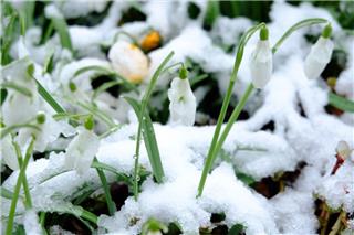 Τα ζώδια σήμερα 8/2: Η μέρα σου ζητά να κάνεις ένα βήμα πίσω