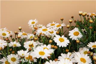 Τα ζώδια σήμερα 18/4: Η μέρα σε φέρνει μπροστά σε μια απόφαση