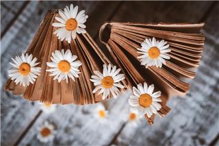 Τα ζώδια σήμερα 19/4: Η μέρα φέρνει μια αλλαγή