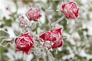 Τα ζώδια σήμερα 9/2: Μια ιδέα σου ανοίγει δρόμο