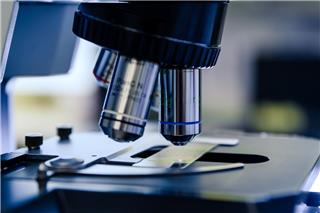 Το «Όσκαρ της επιστήμης» απονεμήθηκε σε ομάδα που ανέπτυξε θεραπεία για αποκατάσταση της χαμένης όρασης