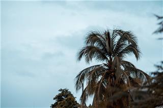 Ρεκόρ ελάχιστης θερμοκρασίας στην Κούβα