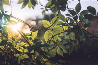 Τα ζώδια σήμερα 26/3: Τι θέλεις πραγματικά;