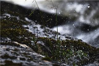 Καιρός: Βροχές, καταιγίδες, σκόνη και κρύο