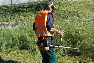 Ακαθάριστα οικόπεδα: Ώρα μηδέν για τους ιδιοκτήτες - Ποιοι εξαιρούνται, πόσο είναι το πρόστιμο