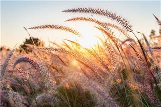 Τα ζώδια σήμερα 27/4: Μην κρύβεις τίποτα σήμερα