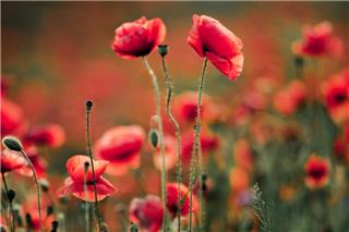 Με λιακάδα ξεκινάει η εβδομάδα – Αλλάζει ο καιρός από Πέμπτη – Η πρόγνωση για την Πρωτομαγιά