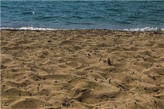 Θρίλερ στη Χαλκιδική: Σε άνδρα που πέθανε το 2004 ανήκουν τα οστά που βρέθηκαν σε παραλία