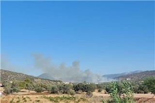 Φωτιά στα Καλύβια - Μεγάλη κινητοποίηση της Πυροσβεστικής