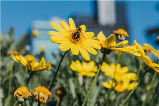Τα ζώδια σήμερα 8/3: Οι απαντήσεις κρύβονται συχνά σε απλά πράγματα