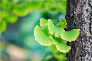 5 τροφές που βελτιώνουν τη λίμπιντο και τη στuση