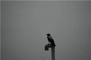 Ο ΠΟΥ προειδοποιεί για τη «μαύρη βροχή» στο Ιράν μετά τα πλήγματα σε διυλιστήρια