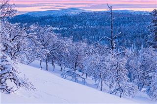 Τα ζώδια σήμερα 10/1: Η μέρα δεν θέλει κόντρες