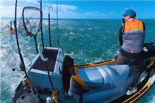 ΗΠΑ: Σέρφερ ψάρεψε μέσα σε πλήθος καρχαρίων - «Ήταν περικυκλωμένος» - Δείτε βίντεο