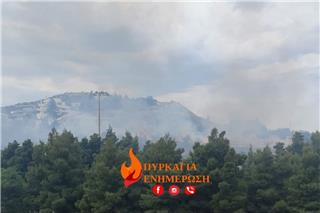 Φωτιά κοντά στο Αλσος Βεΐκου στο Γαλάτσι - Σηκώθηκαν δύο ελικόπτερα