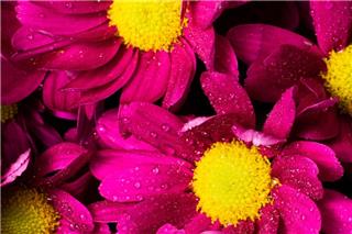 Τα ζώδια σήμερα 1/3: Σήμερα χρειάζεσαι καθαρό τοπίο