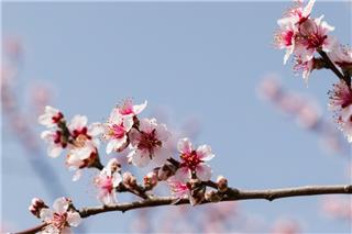 Μαρουσάκης: Από το κρύο στην... Ανοιξη