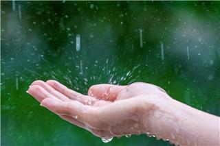 Καιρός: Βροχές, πτώση της θερμοκρασίας και θυελλώδεις άνεμοι έως την Κυριακή, ποιες περιοχές επηρεάζονται