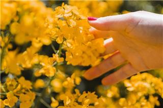 Καιρός: Μυρίζει άνοιξη - Πώς θα πάει το επόμενο δεκαπενθήμερο