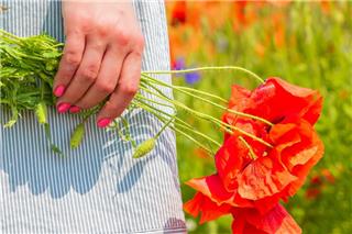 Πρωτομαγιά 2026: Τι ισχύει για αργία, απεργίες, καταστήματα και αμοιβές