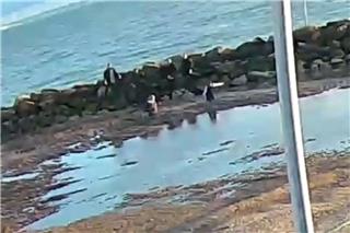 Αγγλία: Αγνωστοι διέσωσαν μητέρα και κόρη που είχαν κολλήσει σε κινούμενη άμμο - Δείτε βίντεο