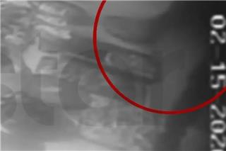 Κερατσίνι: Δύο άγνωστοι εισέβαλαν σε φούρνο και έκλεψαν... γαλακτομπούρεκo (βίντεο)