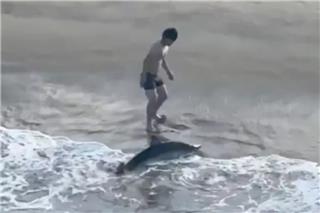 20χρονος ψαράς βούτηξε και έσωσε λευκό καρχαρία στην Καλιφόρνια