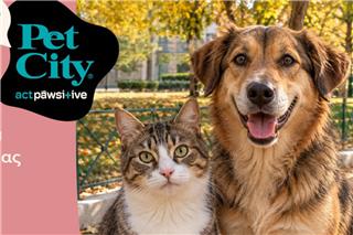 Pet City: 9 αδέσποτα βρήκαν σπίτι στις Ημέρες Υιοθεσίας σε Αθήνα, Θεσσαλονίκη και Πάτρα