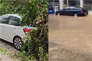 Ιωάννινα: Πλημμύρισαν οι δρόμοι από την έντονη βροχόπτωση και το χαλάζι - Δέντρο καταπλάκωσε ΙΧ