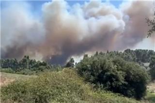 Φωτιά μεγάλης έκτασης στη Σίβηρη Χαλκιδικής: Μηνύματα του 112 για εκκένωση σε 2 περιοχές – Το μέτωπο φτάνει τα 3 χιλιόμετρα