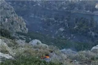 Φωτιά Ρέθυμνο: Πάνω από το 80% του φοινικόδασους της Πρέβελης κάηκε ολοσχερώς