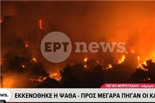 Φωτιά Αττικοβοιωτία: Οι φλόγες κατεβαίνουν στον κάμπο Μεγάρων - Πάνω από 66.000 καμένα στρέμματα