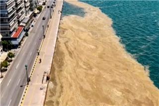 Φυτοπλαγκτόν στον Θερμαϊκό: Τεράστια καφέ λωρίδα έχει «καταπιεί» το λιμάνι της Θεσσαλονίκης