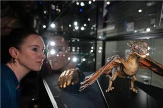 Ταινία «Game of Thrones» ετοιμαζει η Warner Bros: 300 χρόνια πριν από τα γεγονότα του πρώτου επεισοδίου της σειράς