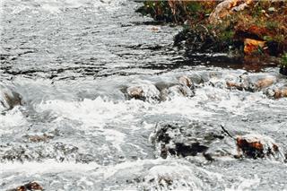 Έβρος: Αγωνία για την αύξηση της στάθμης του νερού