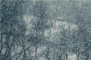 Ψυχρή «εισβολή» από σήμερα – «Βουτιά» 8 βαθμών – Τα ύψη των χιονοπτώσεων