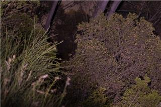 Θρίλερ με τη σορό που εντοπίστηκε στη Χαλκιδική: Παραμένει αγνώστων στοιχείων, σήμερα η εξέτασή της από ιατροδικαστή