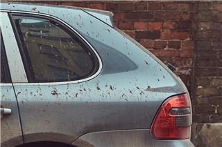 Γιατί βλέπουμε την αφρικανική σκόνη στον ουρανό, αλλά δεν την αναπνέουμε – Η εξήγηση του Θοδωρή Κολυδά