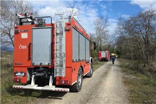 Τραγωδία στην Υπάτη: Νεκρός 68χρονος που καταπλακώθηκε από δέντρο μπροστά στα μάτια της συζύγου του