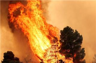 Καιρός «hot – dry – windy» τις επόμενες 48 ώρες: Αυξημένος ο κίνδυνος φωτιάς, συναγερμός σε 6 περιφέρειες