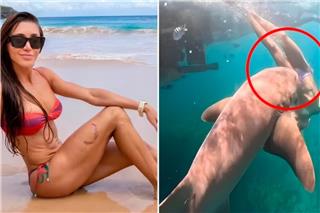 Βραζιλία: Καρέ-καρέ η στιγμή που καρχαρίας αρπάζει από το πόδι τουρίστρια μόλις βουτά στη θάλασσα, δείτε βίντεο