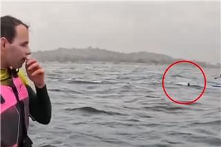 Συγκλονιστικό βίντεο: Η τρομακτική στιγμή που καρχαρίας καταδιώκει σέρφερ στην Καλιφόρνια