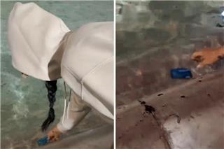 Η Κέιτι Πέρι έβαλε την πιστωτική της κάρτα στη Φοντάνα ντι Τρέβι γιατί δεν είχε ψιλά