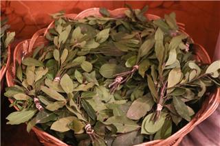 Κυριακή των Βαΐων: Τι γιορτάζουμε σήμερα