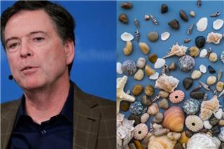 Ο πρώην διευθυντής του FBI κατηγορείται για απειλή στον Τραμπ για... μια φωτογραφία με κοχύλια